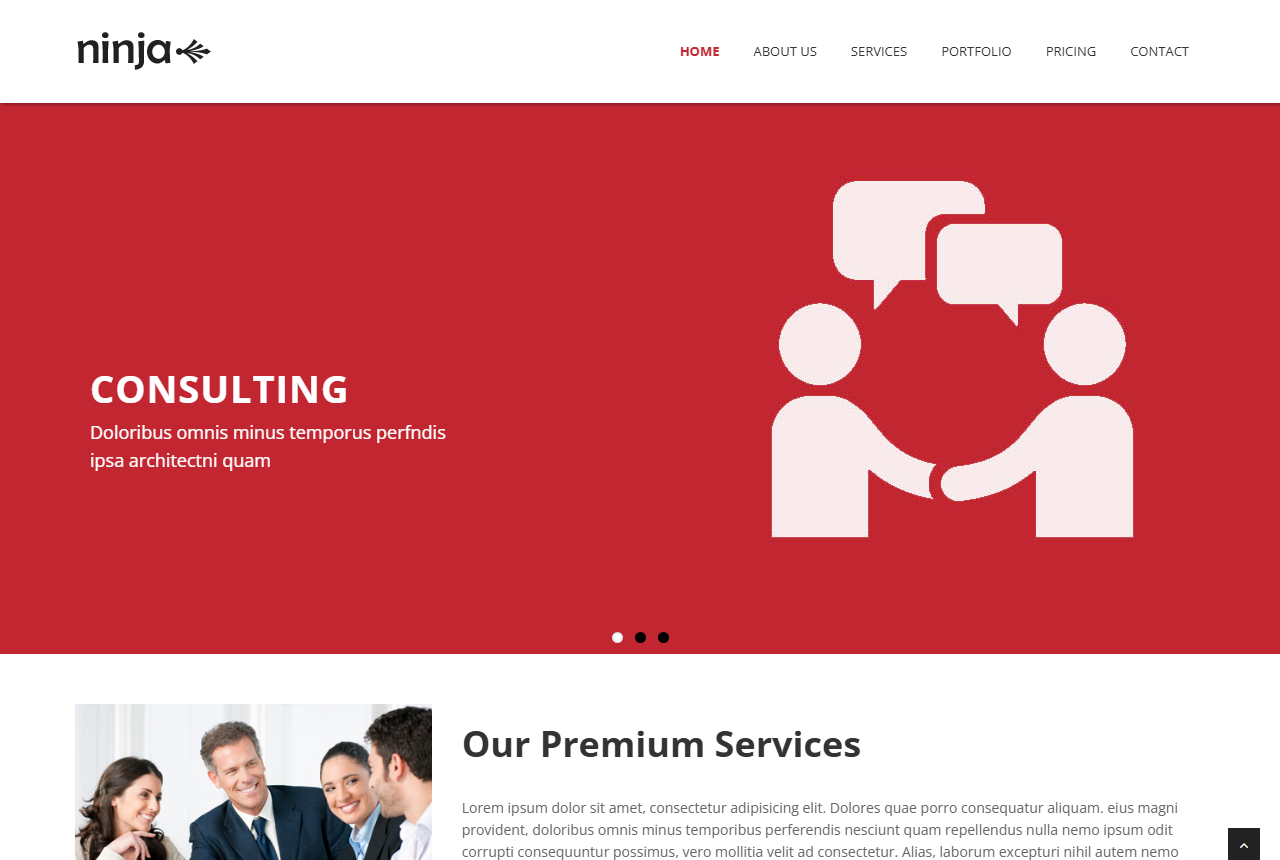 Ninja Business Consulting Html